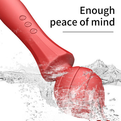 USB Charge Big G Spot Vibrator 24cm Pussy Handheld Vibrator Sexy 238g