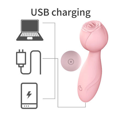 Afdrukken van logo AV Wand Draadloos Handheld 350g Vrouwen Vibrator Wand Massage
